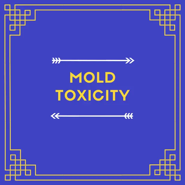 Unveiling the Complexities of Mold Toxicity: Symptoms, Testing, and Recovery